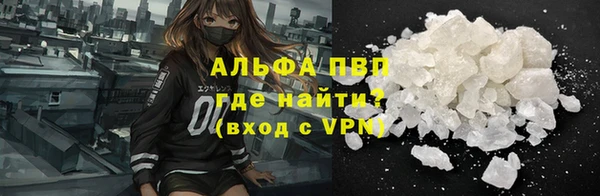 стафф Гусев