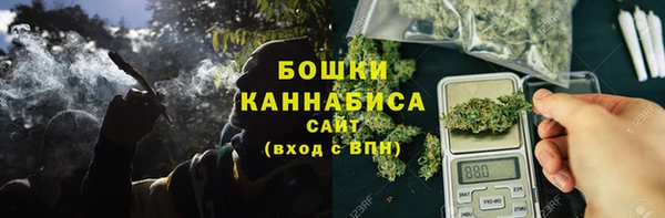 стафф Гусев