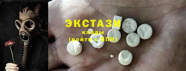 стафф Гусев