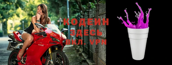индика Гусь-Хрустальный