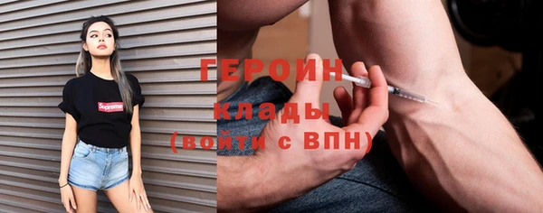 стафф Гусев