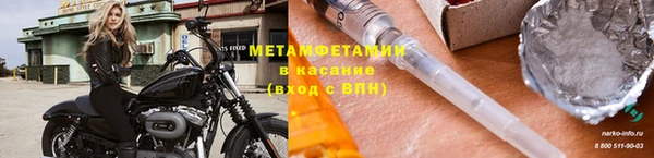 индика Гусь-Хрустальный