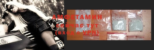 индика Гусь-Хрустальный