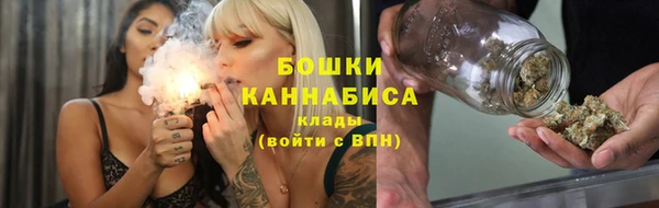 индика Гусь-Хрустальный