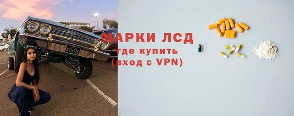 индика Гусь-Хрустальный