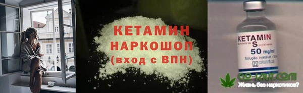 стафф Гусев
