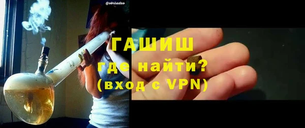 индика Гусь-Хрустальный