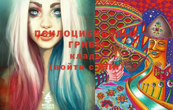 индика Гусь-Хрустальный
