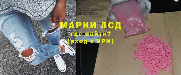 индика Гусь-Хрустальный