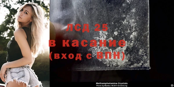 индика Гусь-Хрустальный