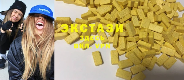 стафф Гусев