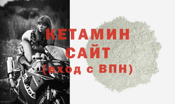 индика Гусь-Хрустальный