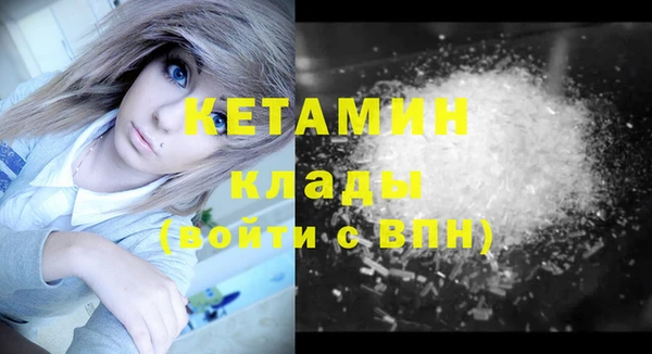 индика Гусь-Хрустальный