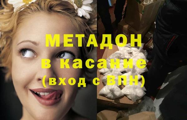 индика Гусь-Хрустальный