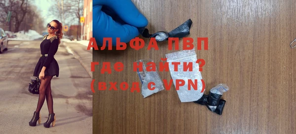 стафф Гусев