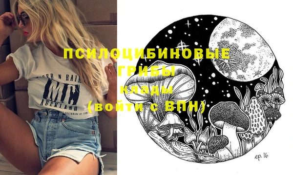 индика Гусь-Хрустальный